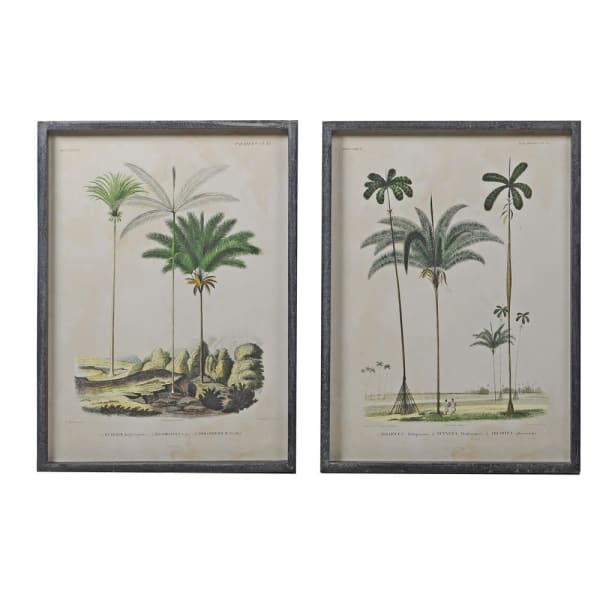 The Set of 2 Palm Tree Pictures gives to your room a nice Ambiance