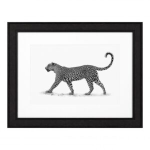 Cased in a black wooden frame with clear glass, this Leopard Print features a black & white photograph of a leopard, a feline creature that is not only graceful and elegant but also very intelligent and powerful..