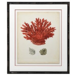 The Red Coral Picture gives to your room the perfect touch