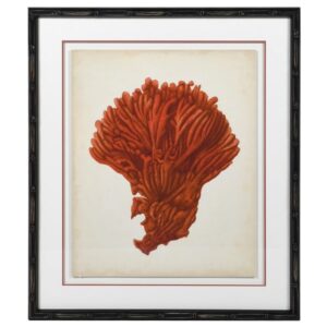 The Orange Coral Picture gives to your room a perfect look.